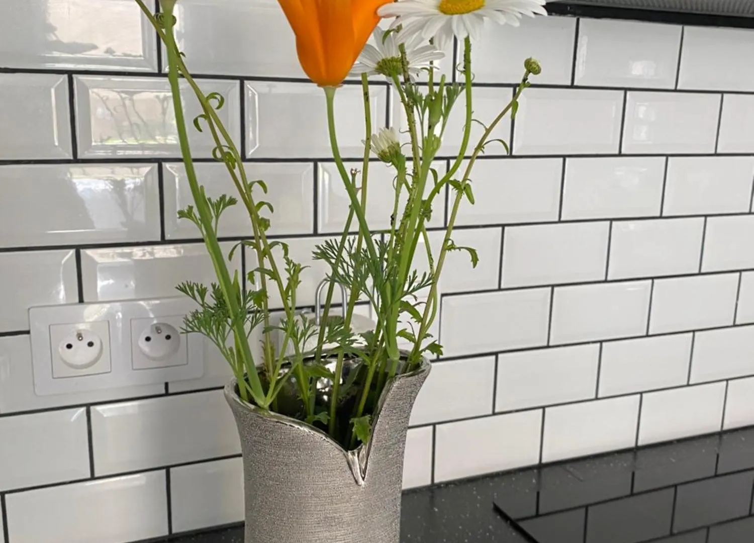 Residence Fleurie Rdc Saint-Malo